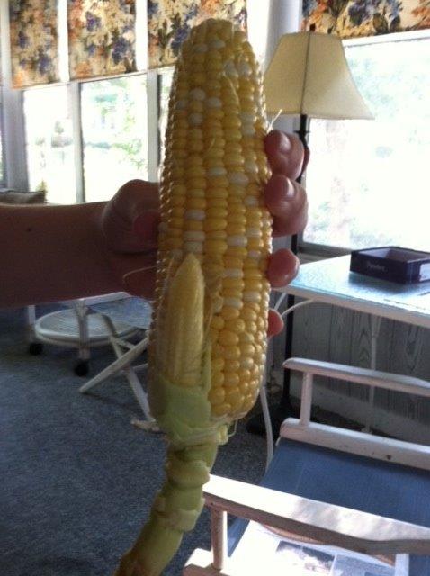 Corn